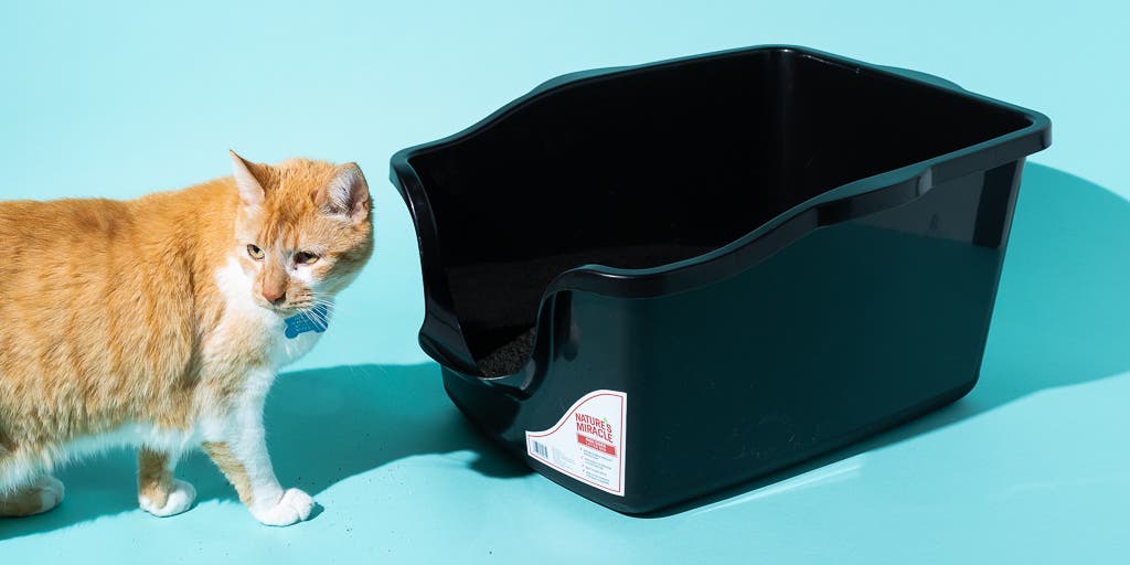 Travel Litter Box : The Ultimate Solution for On-The-Go Cat Owners